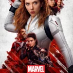 Чёрная Вдова постер